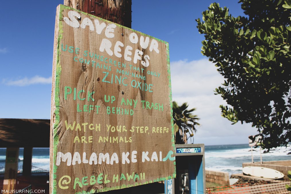 Save our reefs in Maui Hawaii