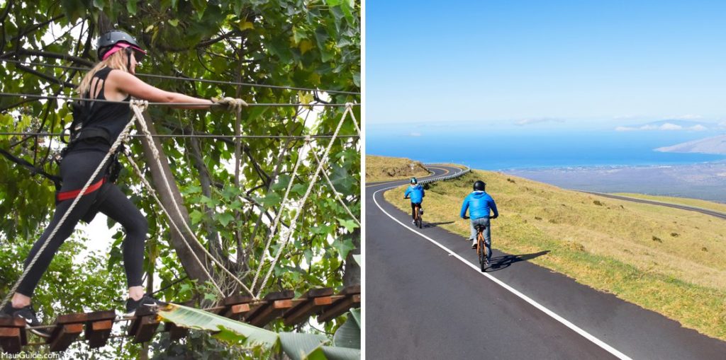 treetops of Maui