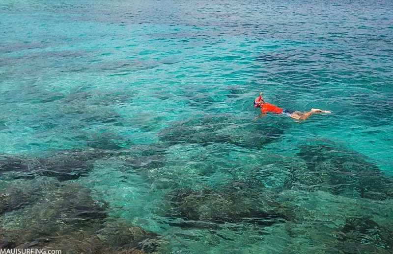 Do Not Snorkel Alone On Maui