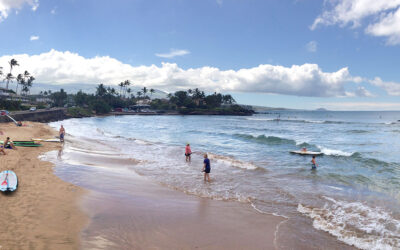 The Cove – Kihei Surf Guide