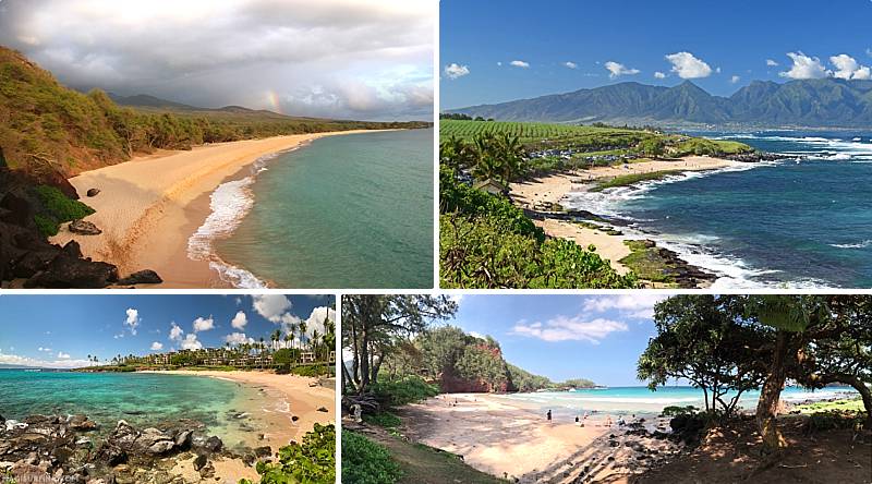 Australia Loves Maui Beaches